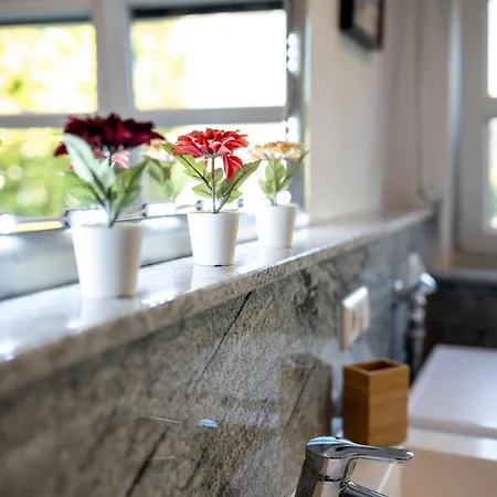 Dachgeschosswohnung Mit Klimaanlage-15min Vom Europa Park Entfernt