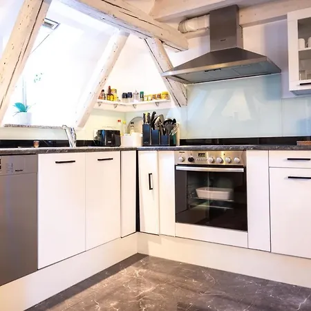 Dachgeschosswohnung -15min Vom Europa Park Entfernt * ケンツィンゲン