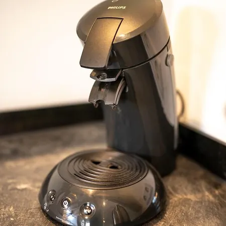 Daire Dachgeschosswohnung Mit Klimaanlage-15min Vom Europa Park Entfernt Kenzingen