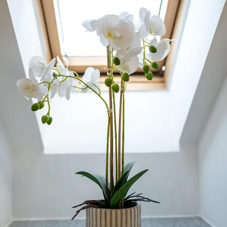 Dachgeschosswohnung Mit Klimaanlage-15min Vom Europa Park Entfernt Daire