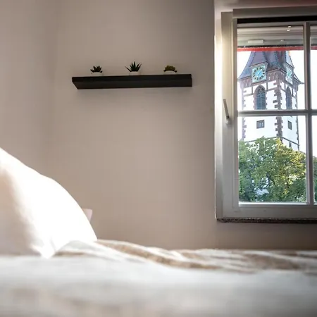 Daire Dachgeschosswohnung Mit Klimaanlage-15min Vom Europa Park Entfernt *